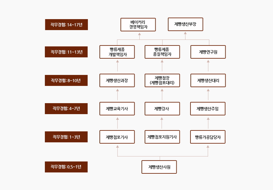 직무경험 : 0.5~1년 - 제빵생산사원
		직무경험 : 1~3년 - 제빵점포기사 / 제빵점포지원기사 / 빵류가공담당자
		직무경험 : 4~7년 - 제빵교육기사 / 제빵강사 / 제빵생산주임
		직무경험 : 8~10년 - 제빵생산과장 / 제빵점장(제빵점포대리) / 제빵생산대리
		직무경험 : 11~13년 - 빵류제품 개발책임자 / 빵류제품 품질책임자 / 제빵연구원
		직무경험 : 14~17년 - 베이커리 경영책임자 / 제빵생산부장